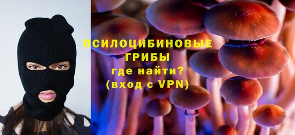mdpv Богородск