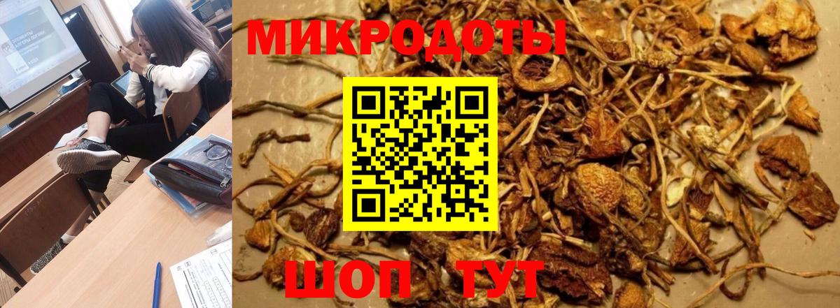 Псилоцибиновые грибы мицелий Коломна