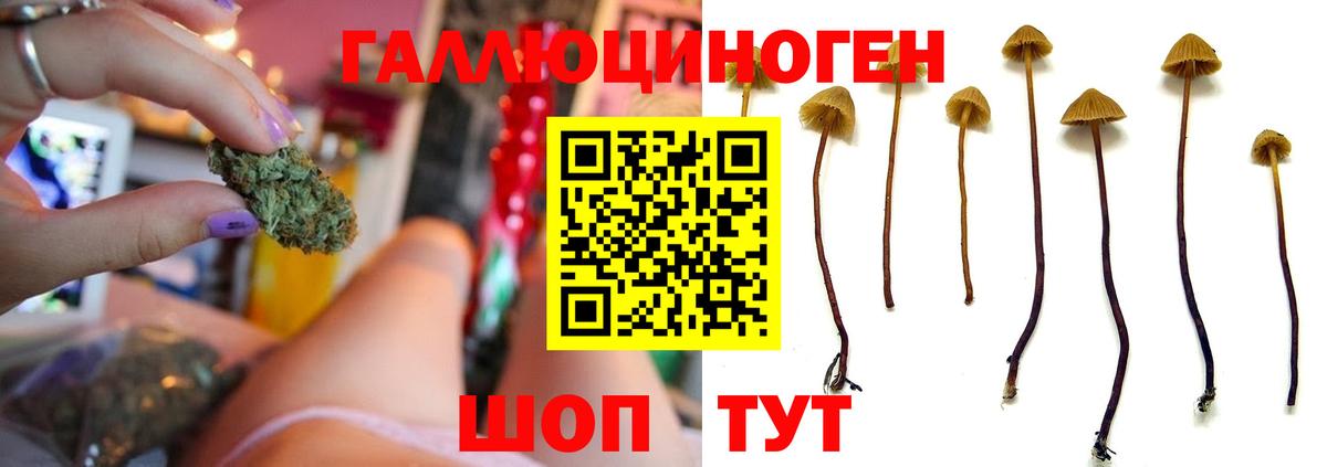 Галлюциногенные грибы MAGIC MUSHROOMS  Вход с VPN  Галлюциногенные грибы Magic Shrooms  Коломна 